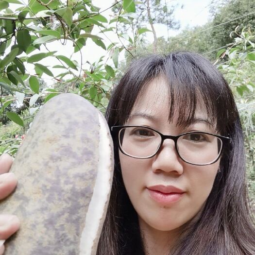 新昌县 精品八月瓜八月炸营养丰富香甜可口现摘现发
