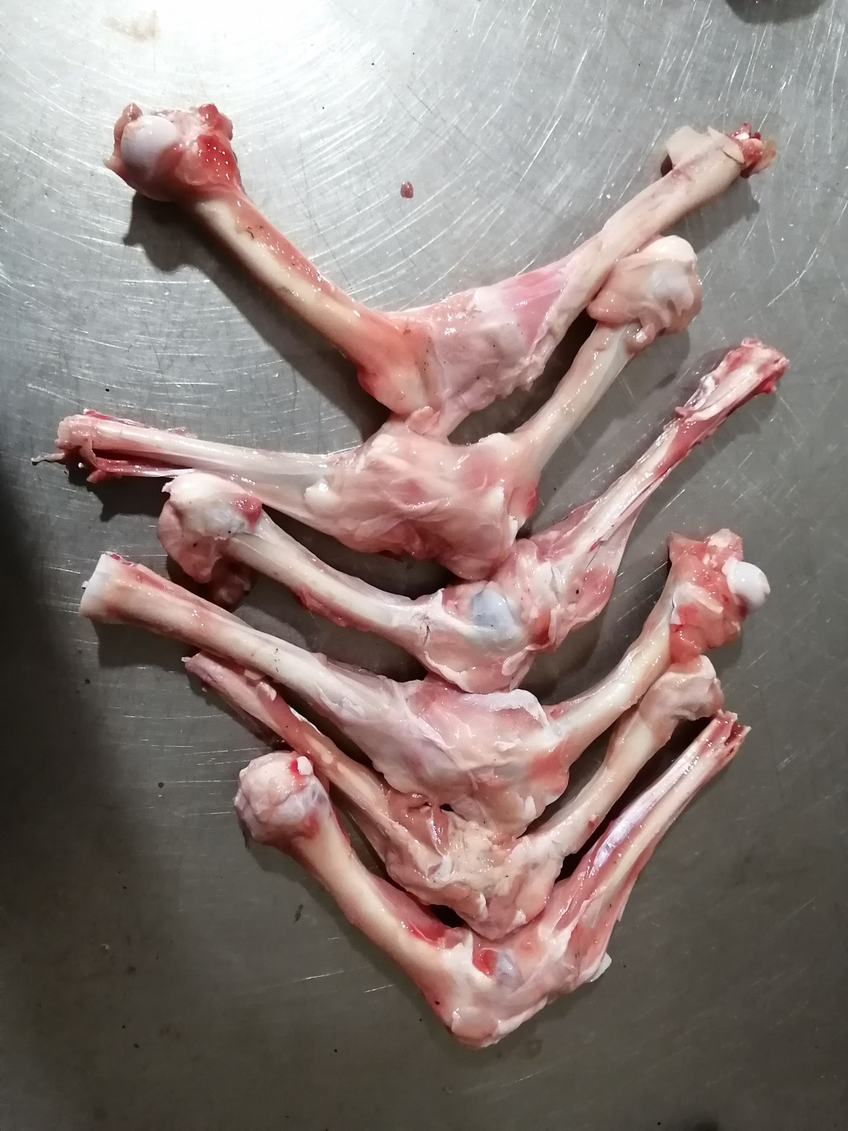 羊骨  多肉羊棒骨 国产