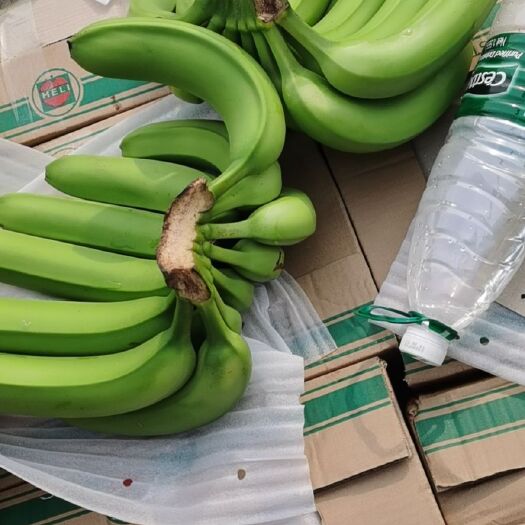 邯郸广西蕉  广西货，果面干净，物美价廉，质量保证诚信互赢