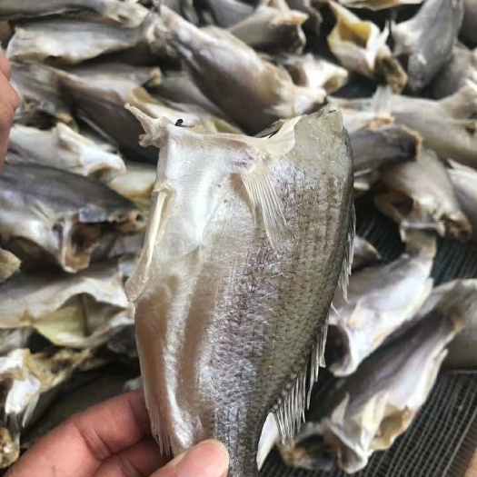 江门鲈鱼干，现货供应，干度好，一件30斤