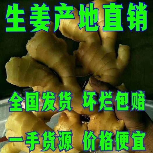 沂水县大黄姜生姜基地，供应【电商 商超 市场 出口】代收代发全国