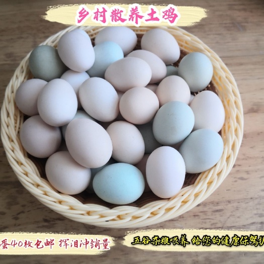 封丘县正宗土鸡蛋 柴鸡蛋 乡村散养土鸡蛋