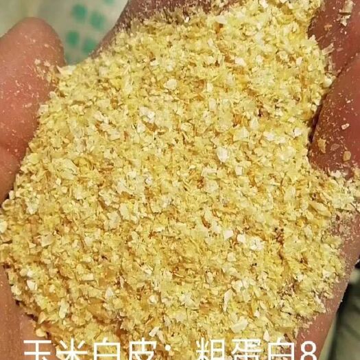 西平县蛋白质饲料 鲁洲玉米白皮