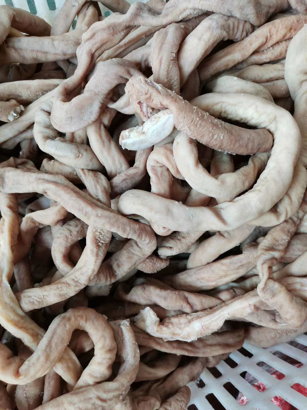 牛小肠  国产熟牛圆小肠，切牛杂专用