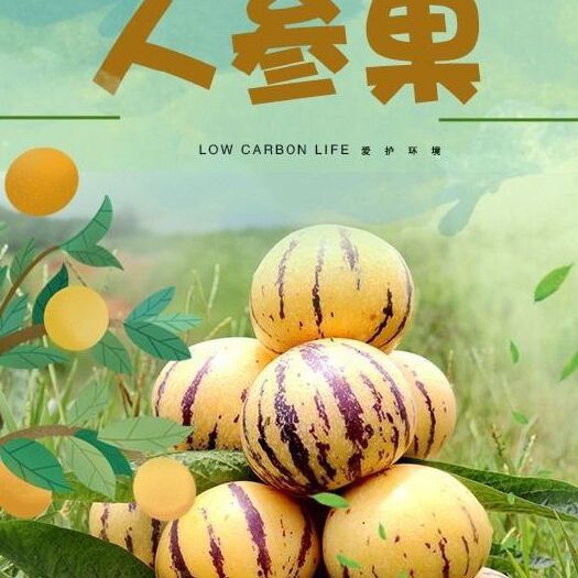 石林县圆果黄肉树上熟人参果  【现摘现发】中果