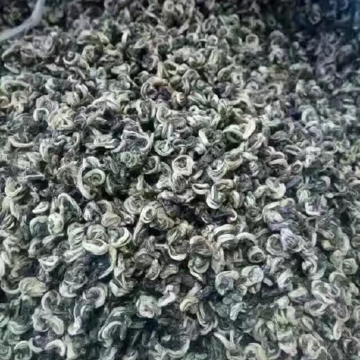 随州碧螺春茶