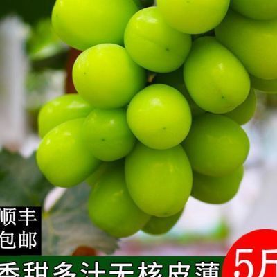 泾阳县阳光玫瑰  自家优质葡萄