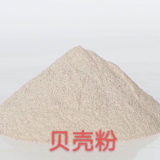 连云港 贝壳粉/贝壳片