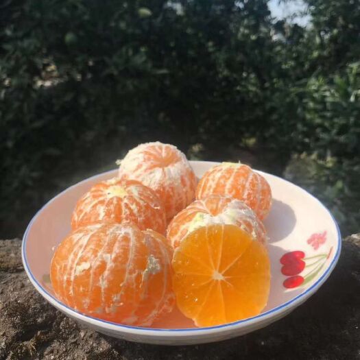 石门县蜜桔  石门柑橘