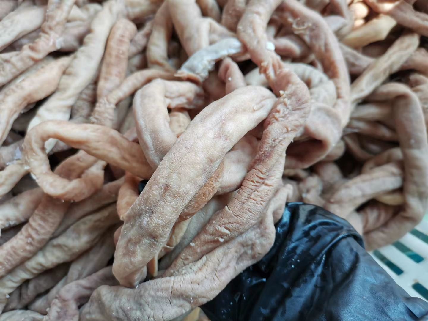 牛小肠  国产熟牛圆小肠，切牛杂专用