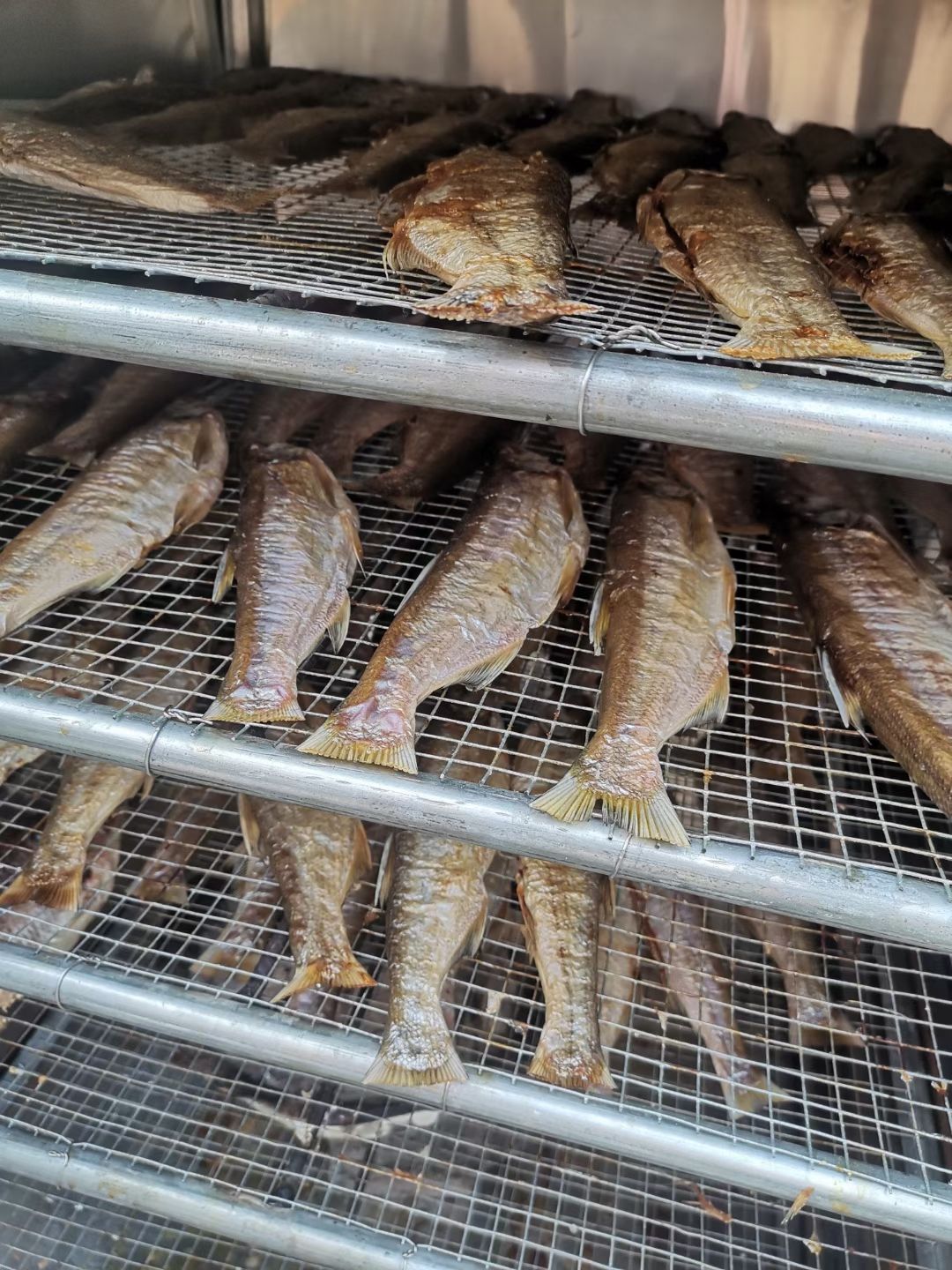 碳烤烧嘴鱼干 无盐 5到20公分等