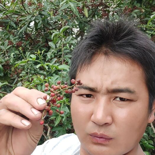 德昌县 正宗四川省凉山彝族自治州九叶青花椒，需要的下单，特好的味道。