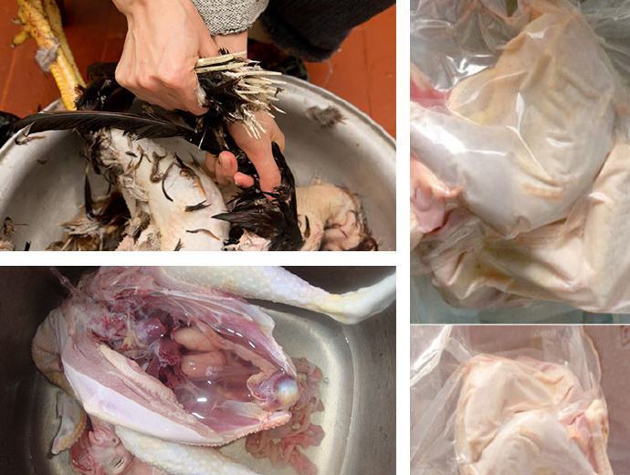 黔西市白条鸡 新鲜 