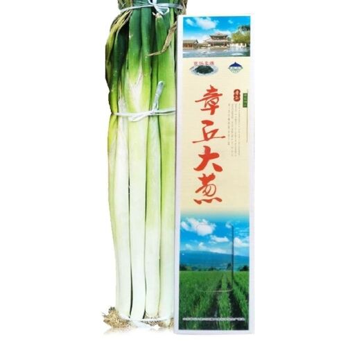 济南章丘大葱新鲜脆嫩可口产地直达