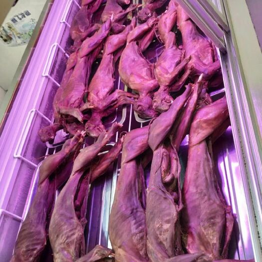 安阳兔肉类  特色风干兔肉礼品包装抽真空五香本味