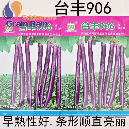 寿光市茄子种子 台丰 906长茄种子线茄茄子早熟条形顺直亮丽庭院四