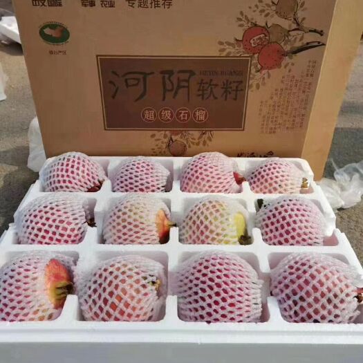 荥阳市河阴石榴 河阴软籽石榴