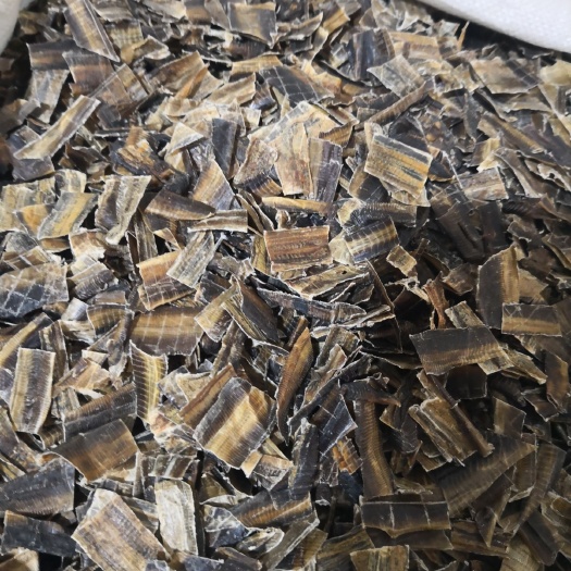 广地龙  地龙干货 全开水洗   量大从优