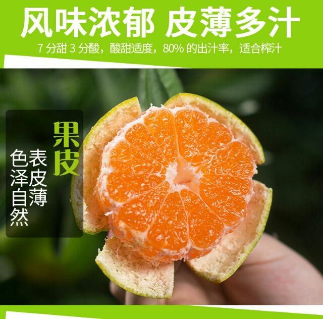 东江湖蜜橘  大量供应东江湖清江蜜橘薄皮橘子甜橘子
