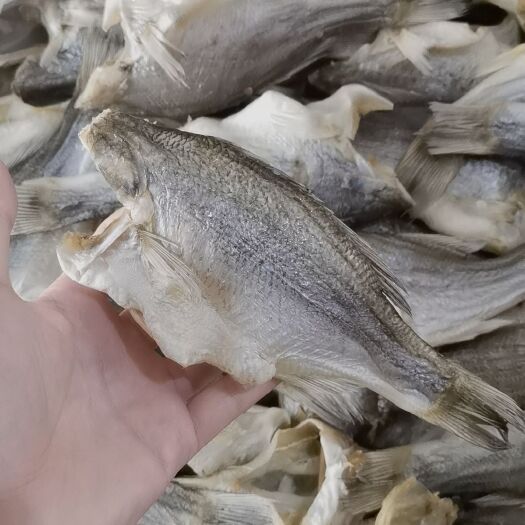 广州深海鲈鱼干鲈鱼干海鲜干货海鲈鱼咸鱼干散装咸鱼干