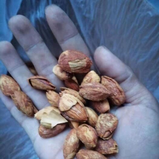 杭州 巴旦木，薄壳巴旦木