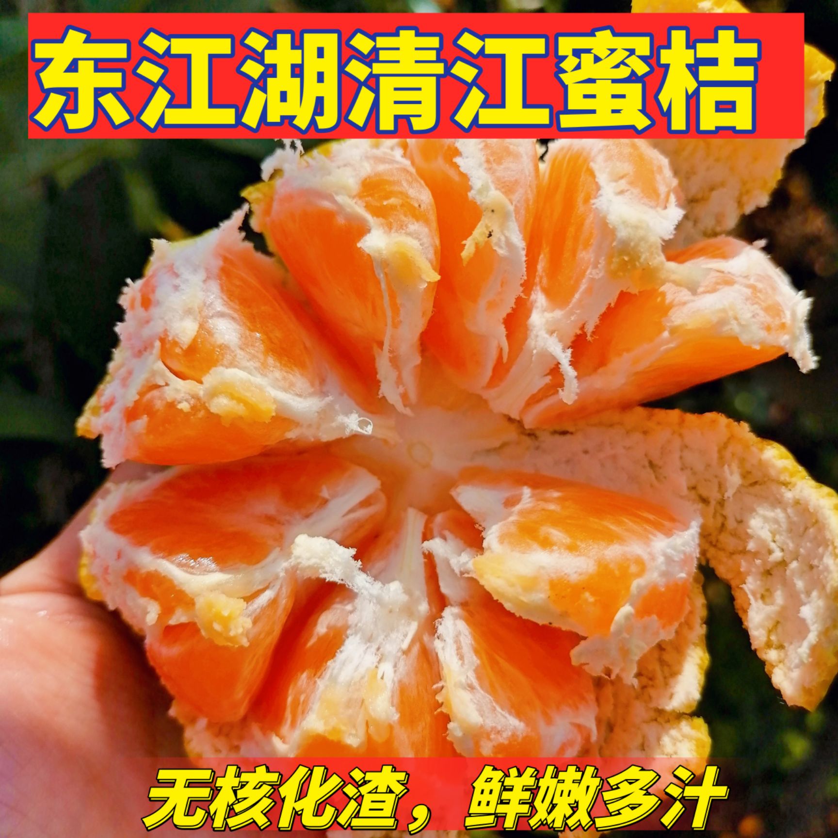 东江湖蜜橘  大量供应东江湖清江蜜橘薄皮橘子甜橘子
