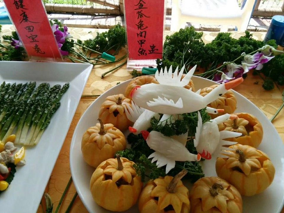 湖北兔子养殖供应优质种兔肉兔苗杂交兔
