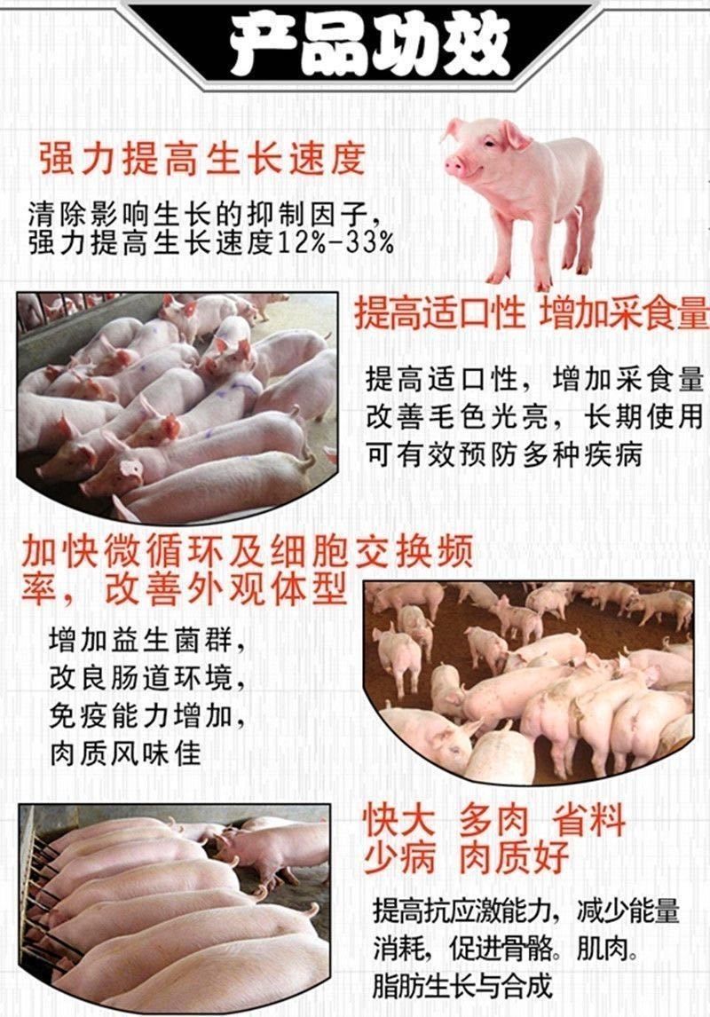 混合型飼料添加劑  豬爾壯快速催肥育肥增肥增重提免疫抗疾病飼