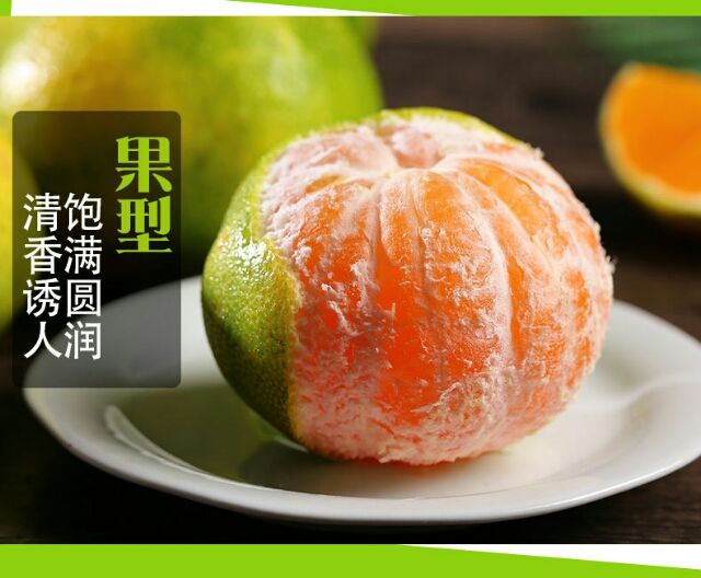 东江湖蜜橘  大量供应东江湖清江蜜橘薄皮橘子甜橘子
