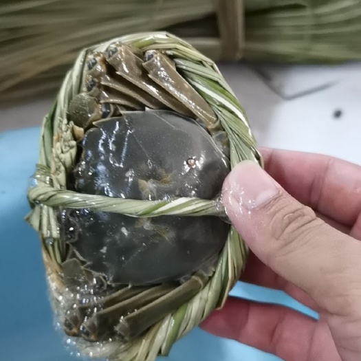 珠海皮皮虾  各类海鲜供应批发，珠海地区可配送上门！！！价格请联系商议