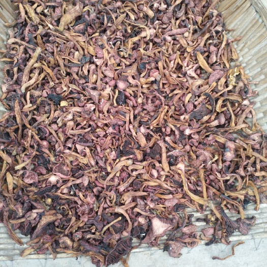 开原市 天然各种野蘑菇
