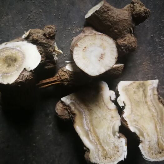 长沙炒白术 岁物者道地平江白术质地坚硬，药用价值为当地之首。