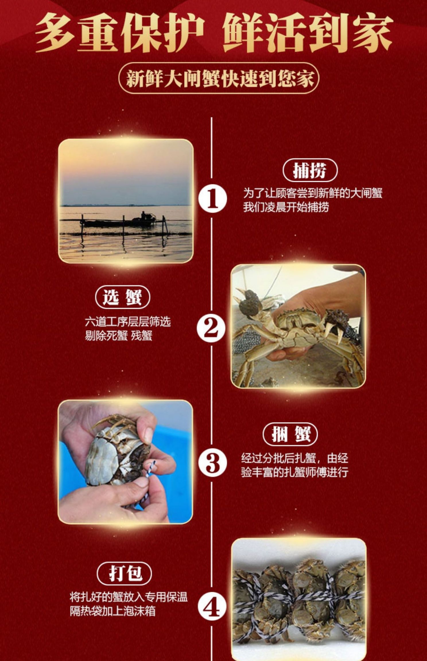大闸蟹鲜活海鲜大蟹公母蟹六月黄大闸蟹批发礼盒包邮