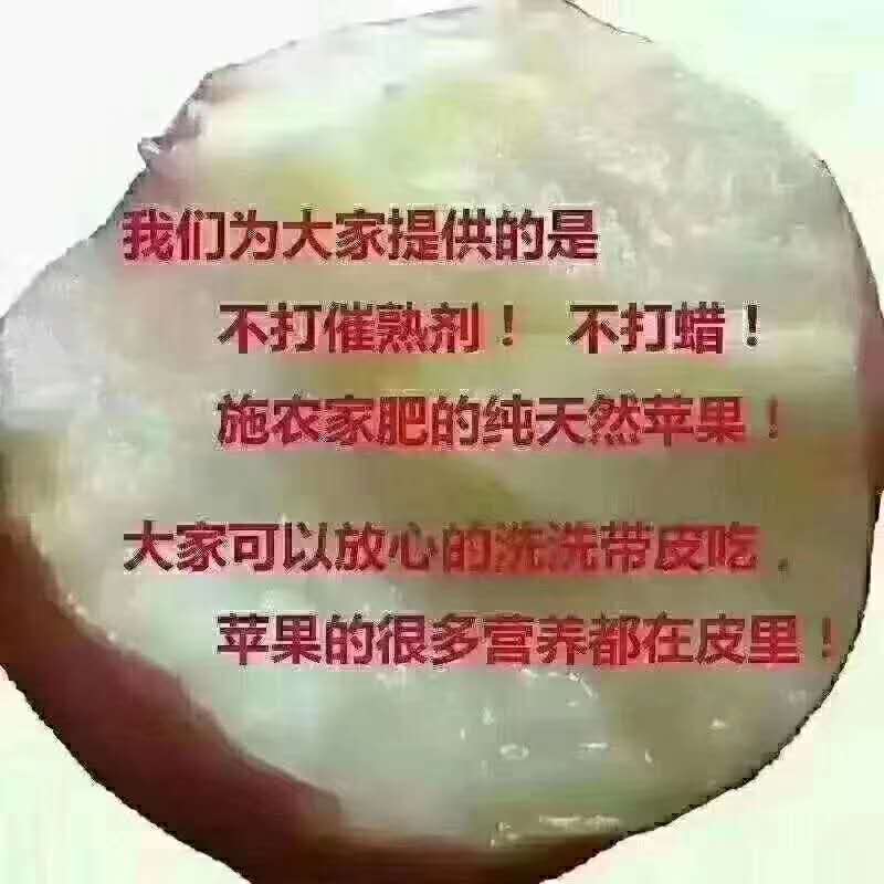 山西临猗红富士苹果，脆甜可口，冰糖心