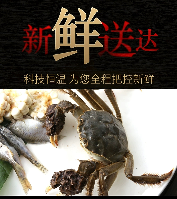 大闸蟹鲜活海鲜大蟹公母蟹六月黄大闸蟹批发礼盒包邮