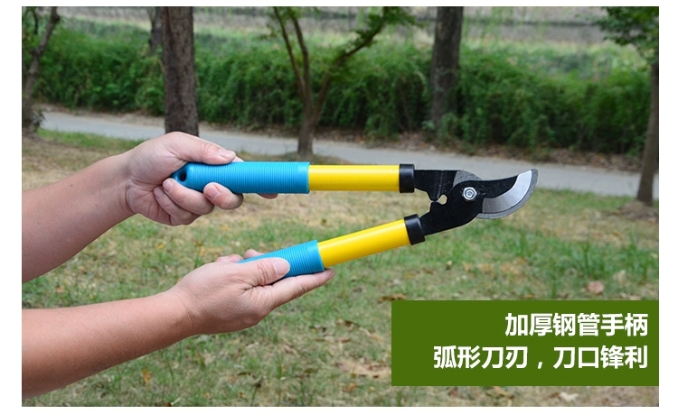 園林剪刀  果樹修剪樹枝剪刀大力剪修枝剪家用大剪刀園林強(qiáng)力園藝工具