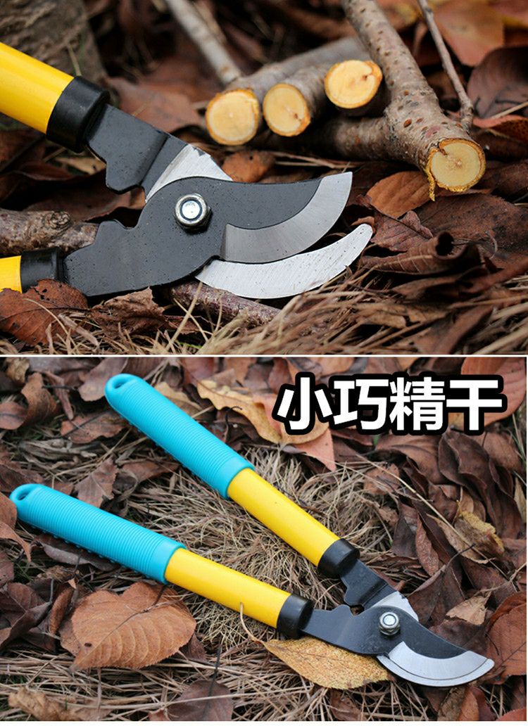 園林剪刀  果樹修剪樹枝剪刀大力剪修枝剪家用大剪刀園林強(qiáng)力園藝工具