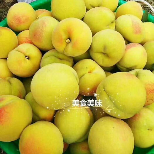 麻阳县麻阳黄桃 55mm以上 3 - 4两