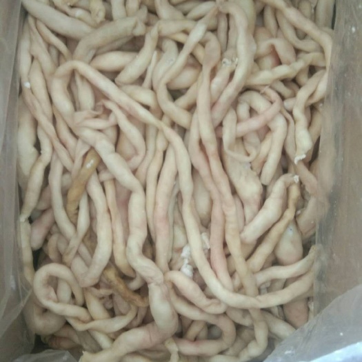 阳信县羊肠 精品熟羊肠