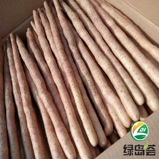 蠡县新货麻山药河北铁棍紫药粉糯可口带土通货一手货源代发全国