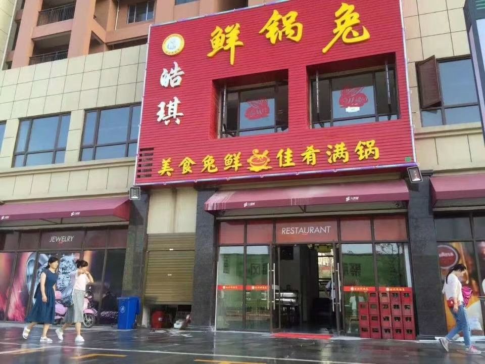  湖北兔子养殖供应优质种兔肉兔苗杂交兔