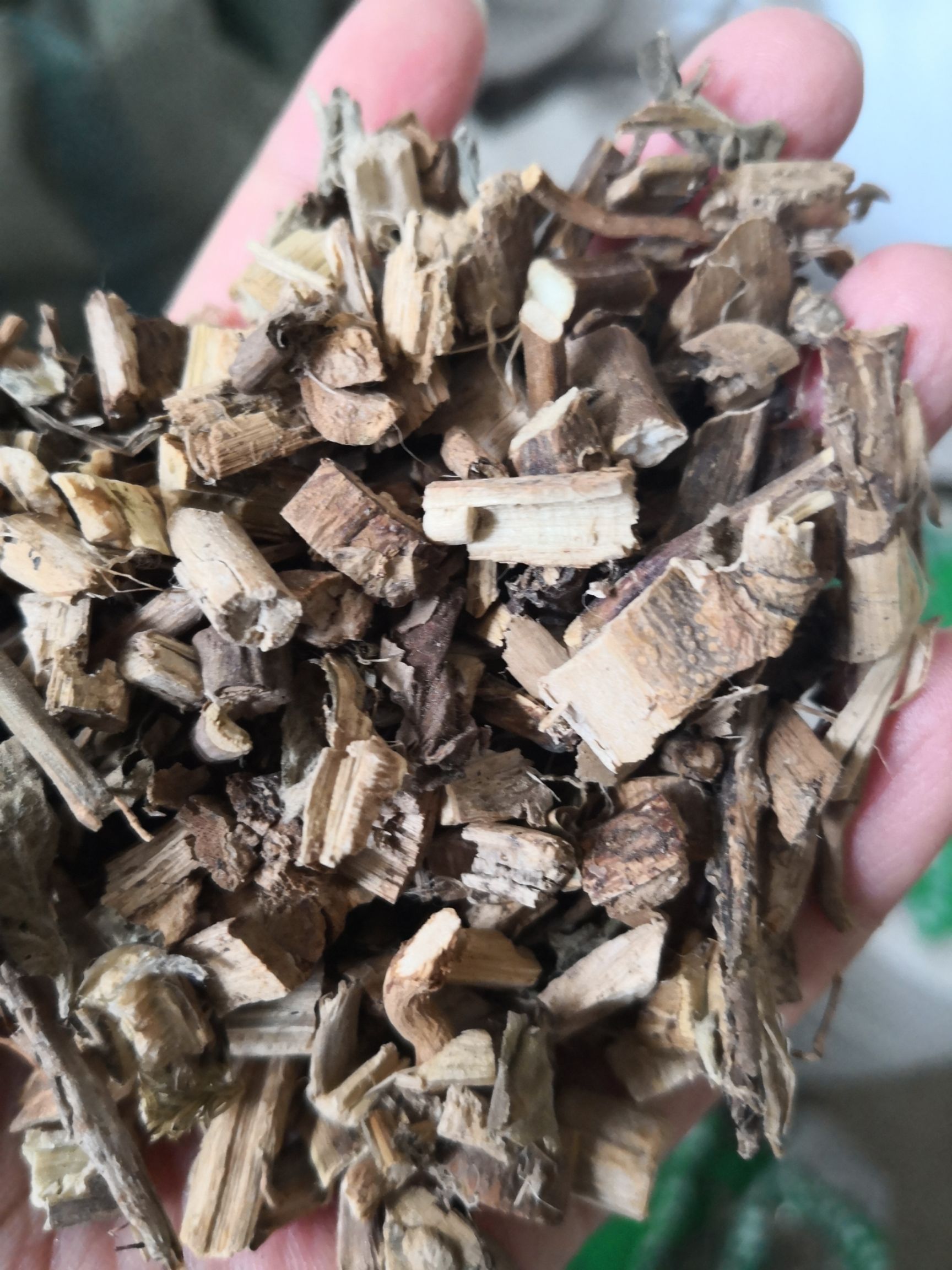 广藿香 带叶含量高 量大从优