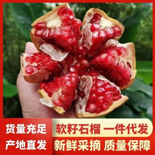 会理市突尼斯软籽石榴会理石榴四川会理县石榴应商微商团购等