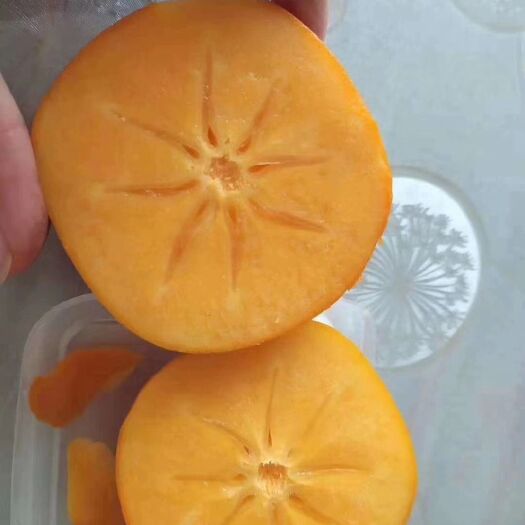 顺平县甜脆柿 脆柿子，比砂糖橘还甜的脆柿子