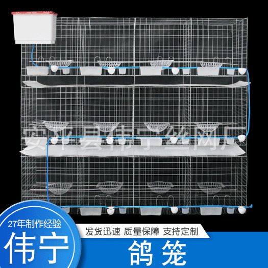 鸽笼  大号加粗鸽子用品用具12位16位养殖鸽子笼信鸽配对笼肉鸽繁殖