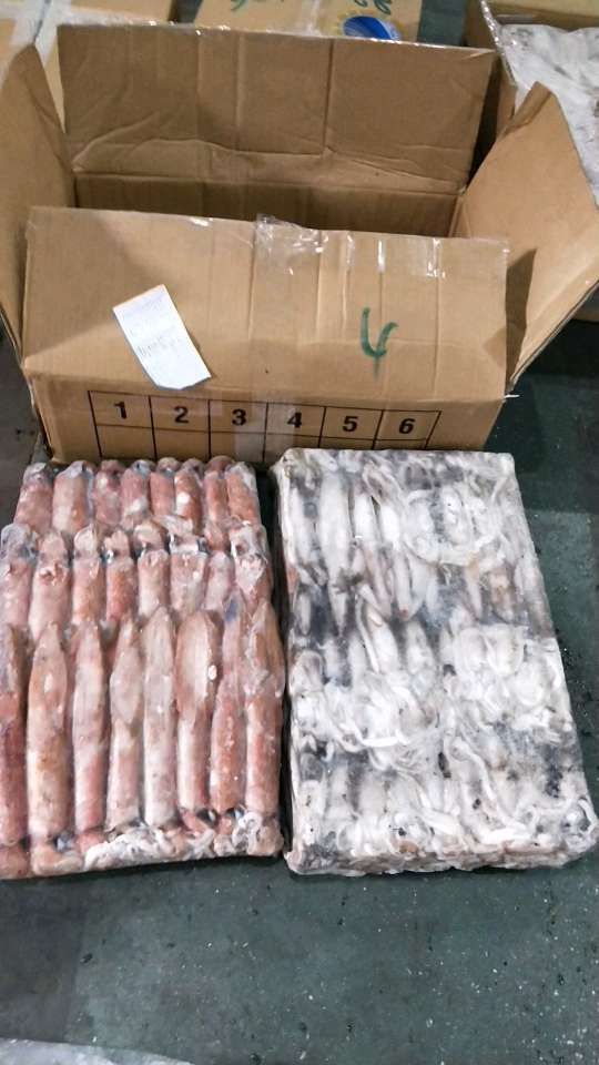 印尼鱿鱼 肉厚鲜美