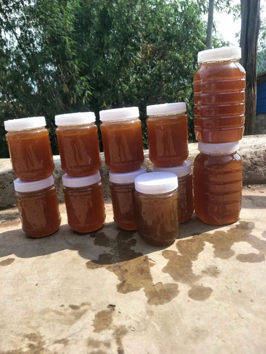 枣花蜜 2年 42 本品不能代替药物 