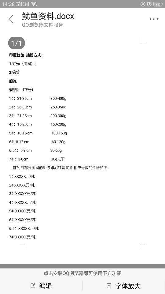印尼鱿鱼 肉厚鲜美