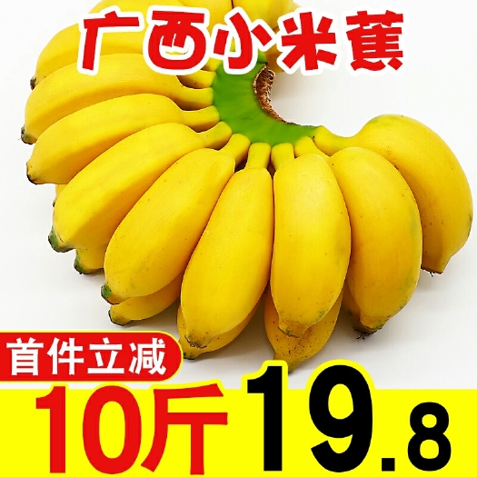 南宁广西小米蕉新鲜现摘现发包邮整箱短香蕉水果当季自然熟小米蕉包邮