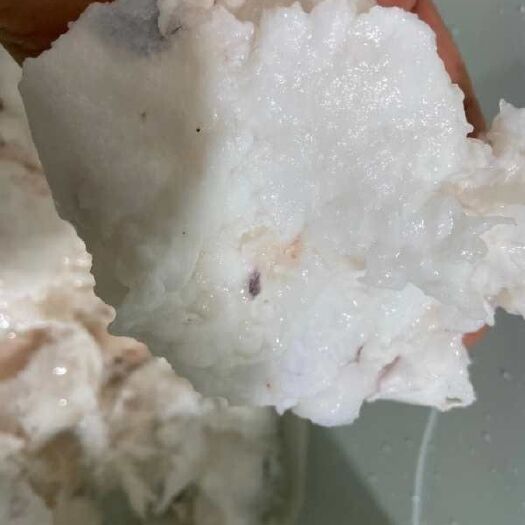 洱源县肉灵芝